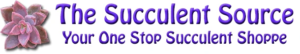 succulentsource.com