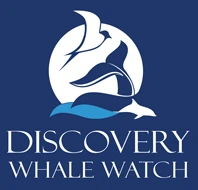discoverywhalewatch.com