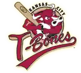 tbonesbaseball.com