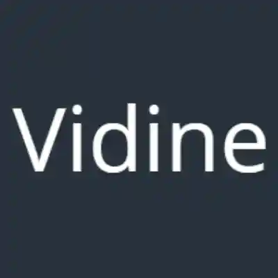 vidine.net