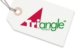 trianglenursery.co.uk